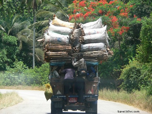 Becak &Sepeda Motor:10 Wahana Liar yang Layak Diceritakan 